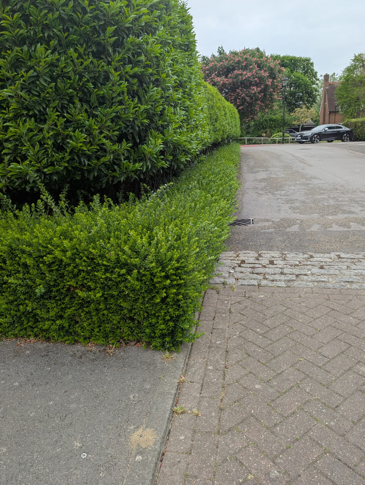 Overgrown Recovery